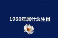 1966年属什么 蟬來陽台